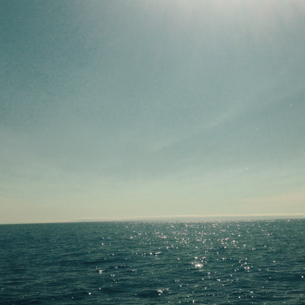 Meet your Posher, Isabella